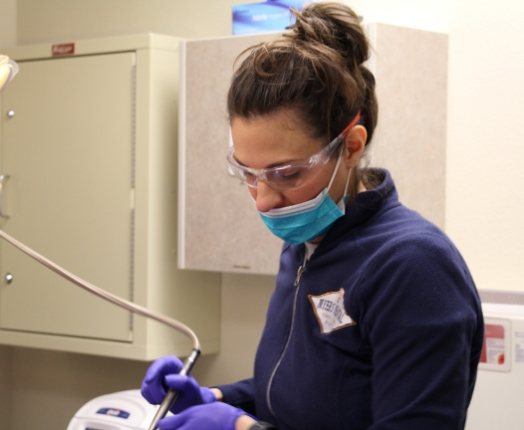 Dental team member providing dentistry