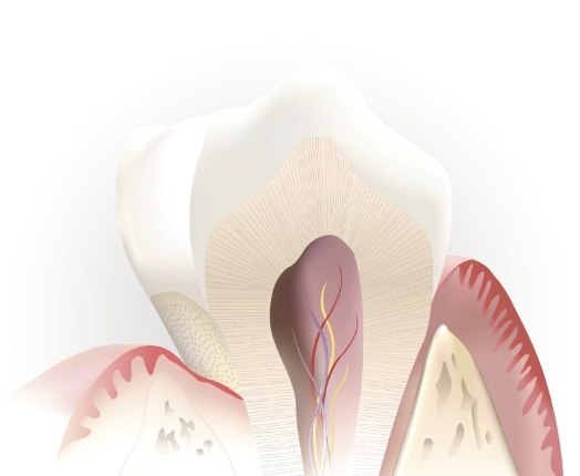Animated inside of tooth used to explain root canal therapy